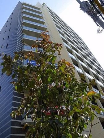 パークハビオ渋谷 ワンルーム 16.4万円 SOHO賃貸