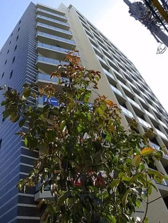 パークハビオ渋谷 1K 16.2万円 SOHO賃貸